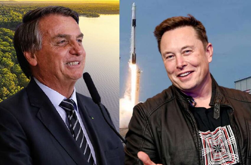  Elon Musk e Bolsonaro se encontram em SP e tratam de conexão na Amazônia